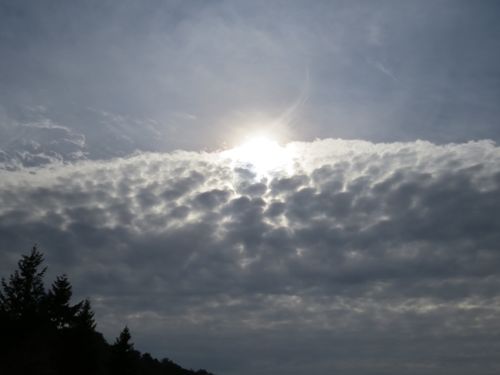 Ein typischer dicker Altocumulus / A typical opaque Altocumulus