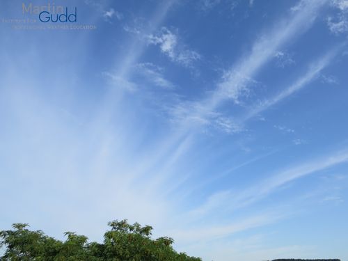 Cirrus-Unterart: Cirrus radiatus