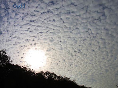 Typischer Ac stratiformis (Schäfchenwolke)