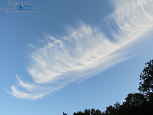 Cirrus uncinus vertebratus